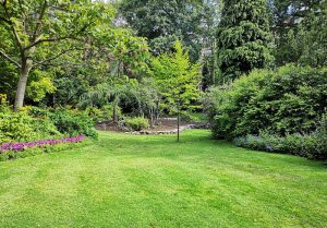 Optimiser l'expérience du jardin à Olby