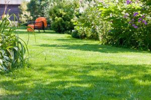 travaux jardin et paysage Olby